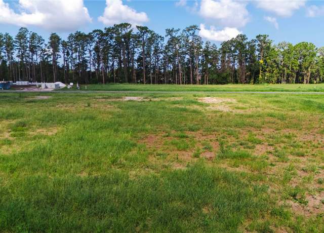 Property at 19319 Dimple Dr, Odessa, FL 33556
