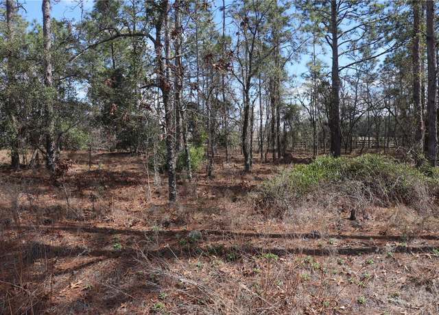 Property at 2251 NW Buena Vista Rd, Dunnellon, FL 34431