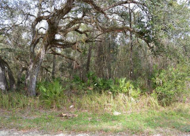 Property at 7180 Alloy St, Webster, FL 33597