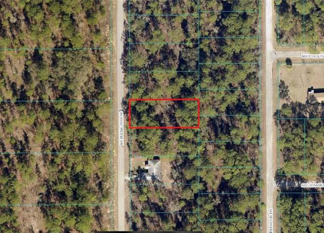Property at 00 SW Buena Vista Rd, Dunnellon, FL 34431