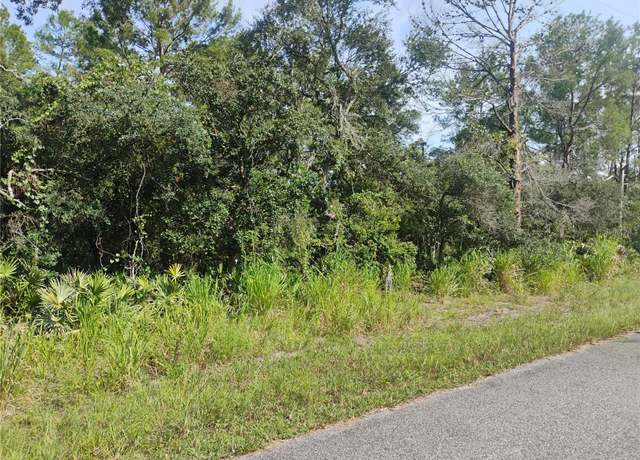 Property at tbd Cedar St, Paisley, FL 32767