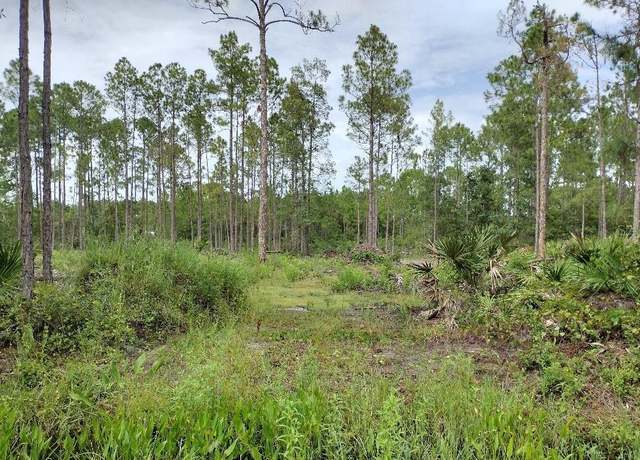Property at 5814 Mahogany Blvd, Bunnell, FL 32110