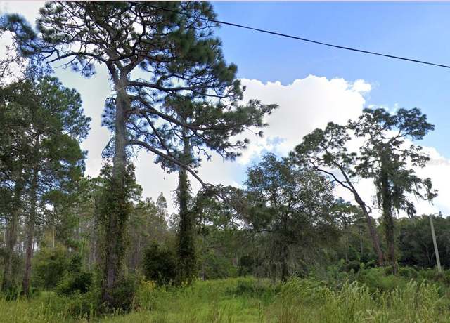 Property at 00 Ladd Ave, New Port Richey, FL 34654