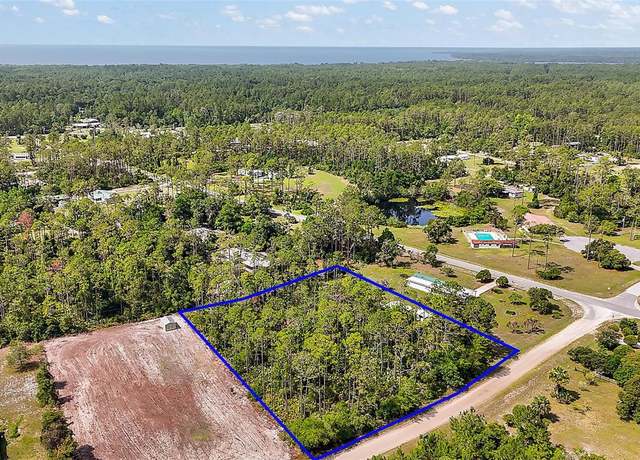 Property at 203 Ponderosa Pine Ct, Georgetown, FL 32139