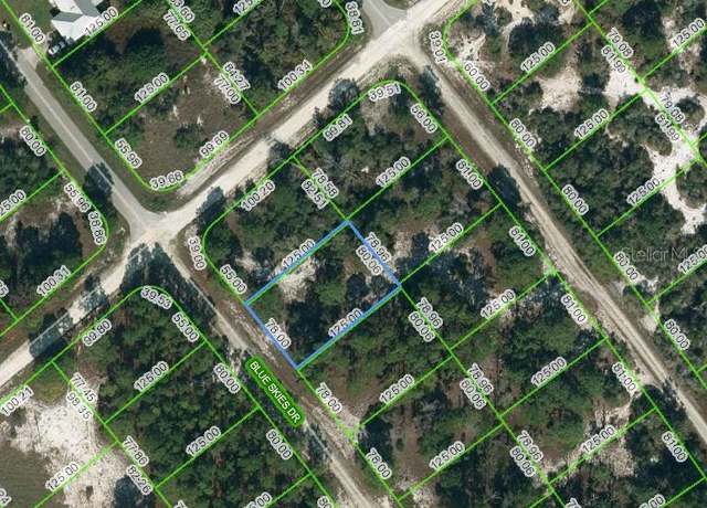 Property at 537 Blue Skies Dr, Lake Placid, FL 33852