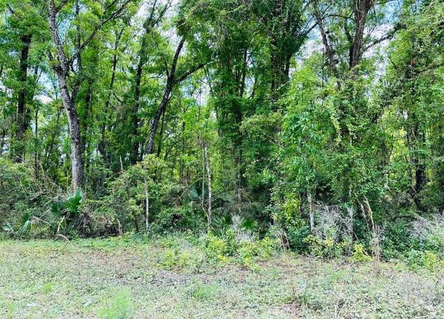 Property at 0 NE 400 Ave, Old Town, FL 32680