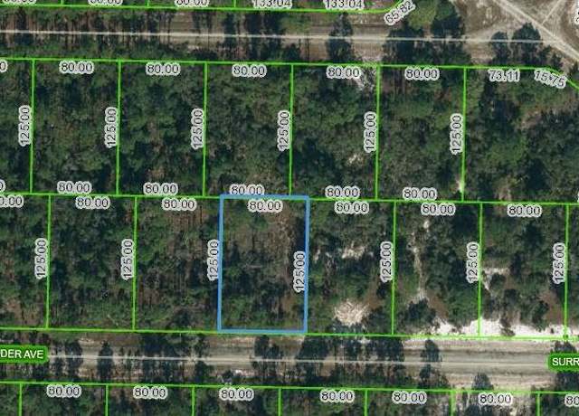 Property at 420 Surrender Ave, Lake Placid, FL 33852