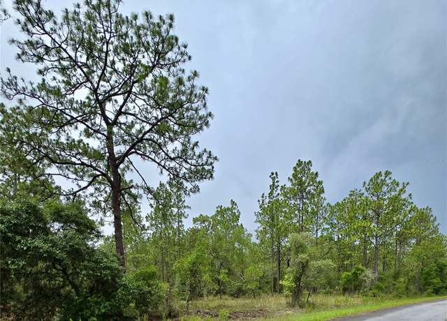 Property at 0 NW Water Oak Ave, Dunnellon, FL 34431