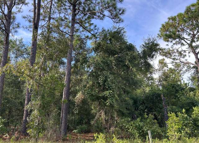 Property at TBD NE 11th Pl, Williston, FL 32696