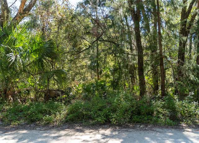 Property at NE 358th Ave, Old Town, FL 32680