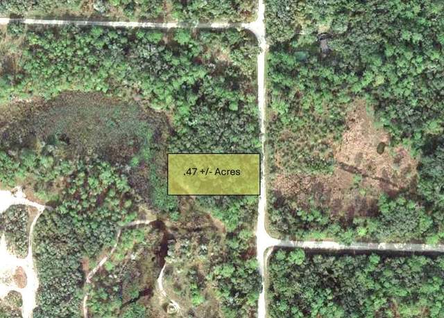 Property at 9111 Chimney Rock Dr, Webster, FL 33597