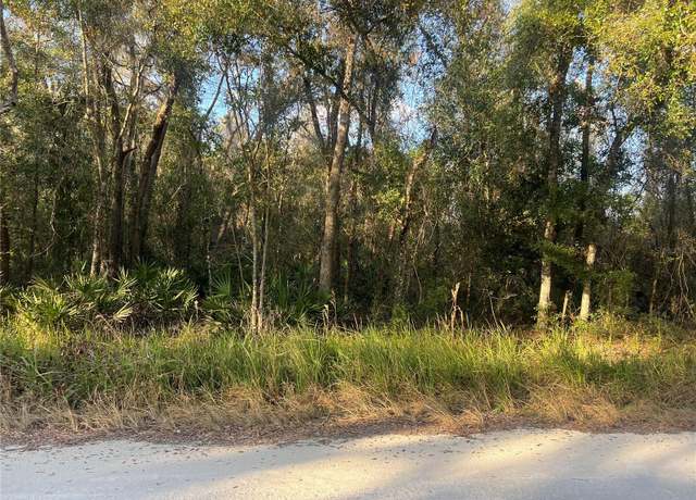 Property at 0 Gresham Rd, Webster, FL 33597