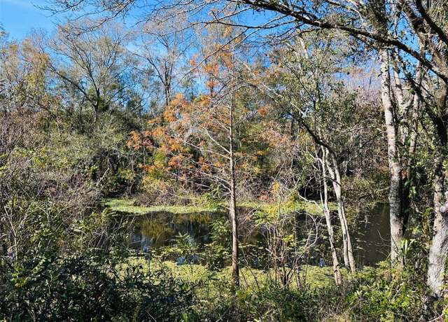 Property at 2180 SE Highway 317, Old Town, FL 32680