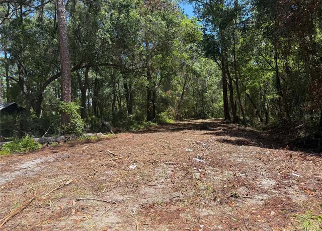 Property at TBD NE 115 Ave, Fort Mc Coy, FL 32134