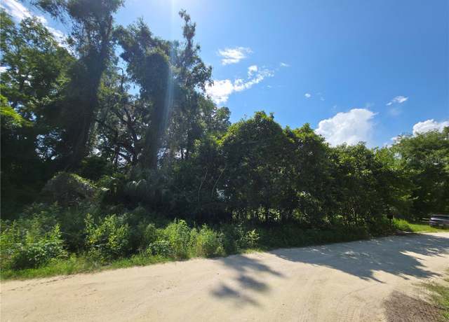 Property at SE 33rd Ct, Belleview, FL 34420