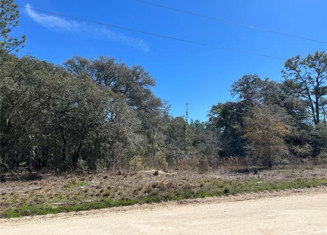 Property at 2061 SE 150th Ave, Morriston, FL 32668
