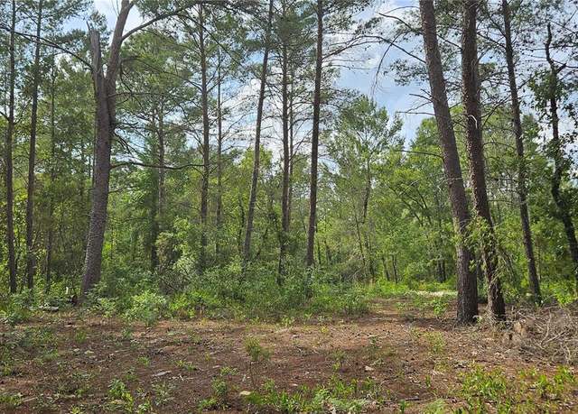 Property at 6283 Bowdoin Ave, Keystone Heights, FL 32656