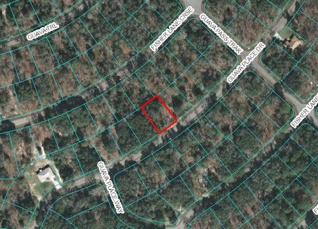 Property at 00 Guava Place Dr, Ocklawaha, FL 32179
