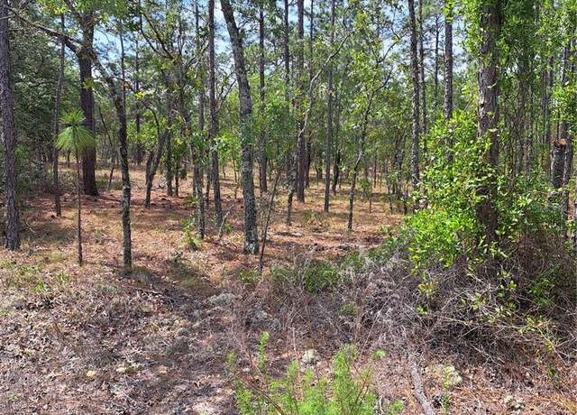 Property at Hemlock Ave NW, Dunnellon, FL 34431