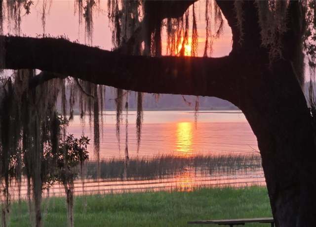 Property at 25205 NE 142nd St, Salt Springs, FL 32134
