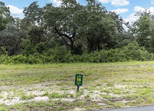 Property at 1411 Oxford Preserve Trl, Oxford, FL 34484