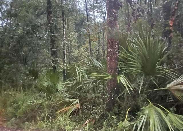 Property at Property Location IS Not Avail, De Leon Springs, FL 32130