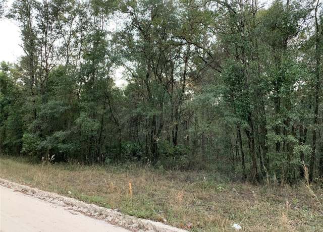 Property at tbd NE 160th Ave, Williston, FL 32696