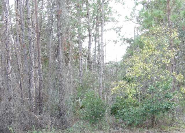 Property at NO St, Deland, FL 32724