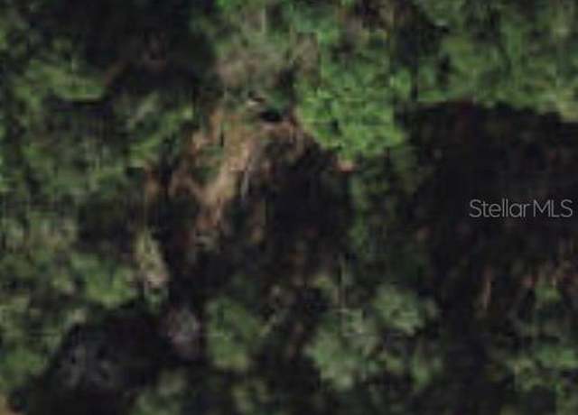Property at 0 SE 131st Pl, Belleview, FL 34420