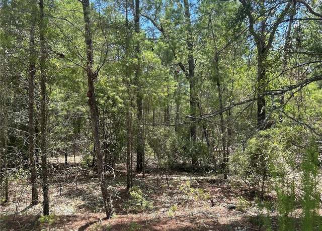 Property at 121 Pear St, Welaka, FL 32193