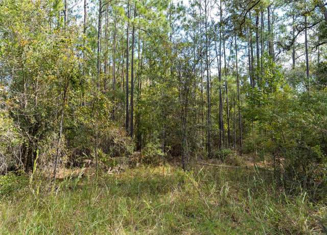 Property at SE 918th St, Old Town, FL 32680