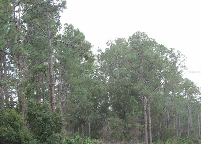 Property at Deland, FL 32724, Deland, FL 32724