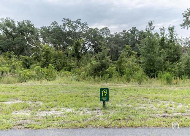Property at 1417 Oxford Preserve Trl, Oxford, FL 34484