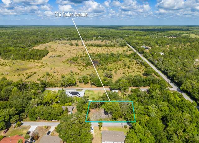 Property at 316 Cedar Ave, Oak Hill, FL 32759