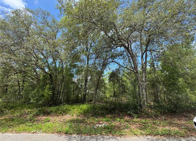 Property at 0 Fisher Lane Way Lot 8, Ocklawaha, FL 32179