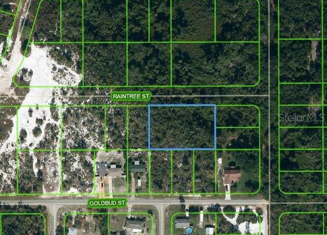 Property at 1515 Raintree St, Lake Placid, FL 33852