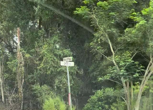 Property at TBD Ohio Rd, Altoona, FL 32702