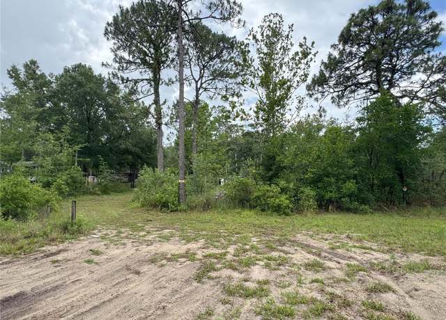 Property at 6958 W Mina Ln, Dunnellon, FL 34433