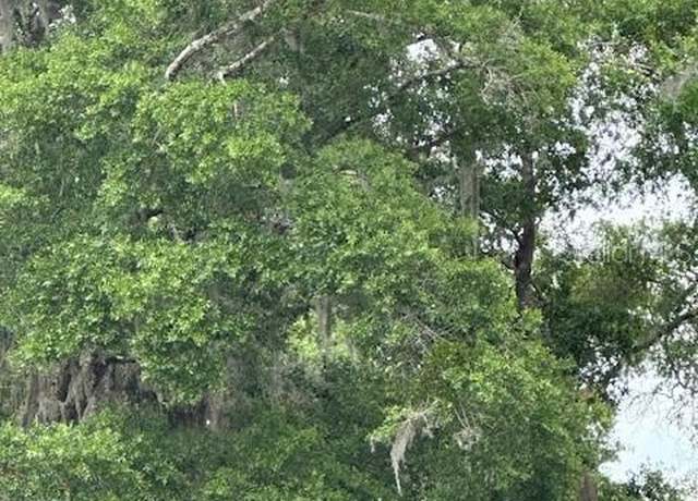 Property at 3406 SE 15th Ave, Gainesville, FL 32641