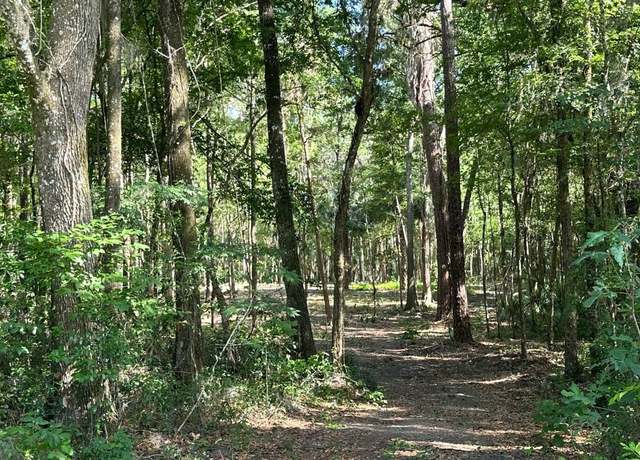 Property at SE 130th St, Belleview, FL 34420