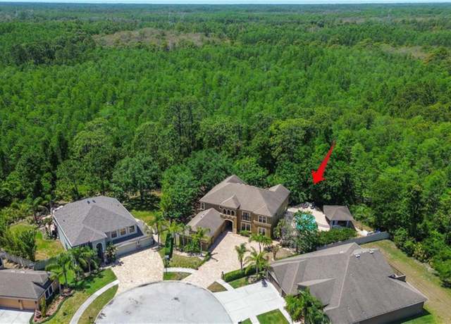 Property at 14809 Ninebark Ct, Land O Lakes, FL 34638, 6 beds, 4.5 baths