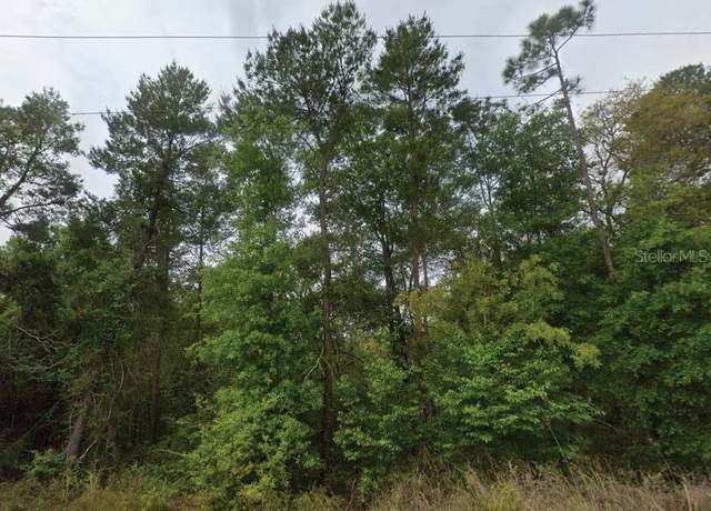 Property at 323 Ridge Rd, Satsuma, FL 32189