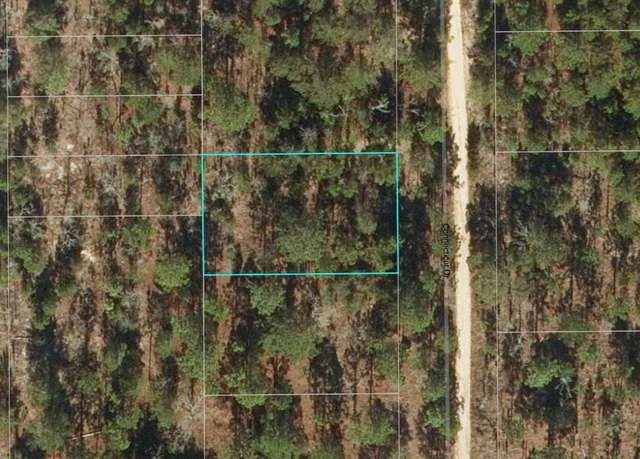 Property at 219 Connecticut Dr, Hawthorne, FL 32640