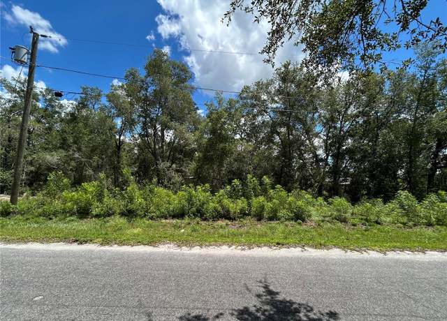 Property at 0 Malauka Radial Ln, Ocklawaha, FL 32179