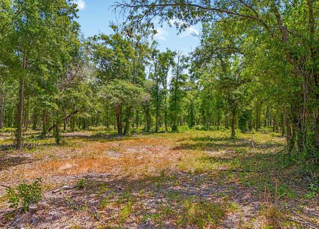 Property at Castlewood RD Lot 1, Seffner, FL 33584