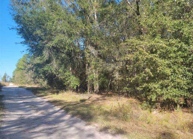 Property at SW 61st Pl, Newberry, FL 32669