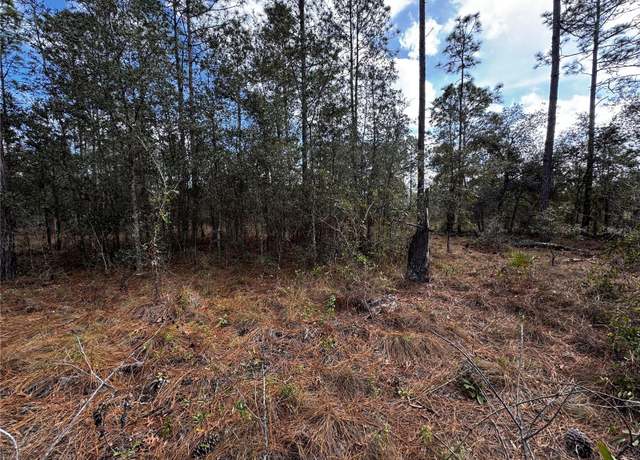 Property at SE 133rd Ave, Dunnellon, FL 34431