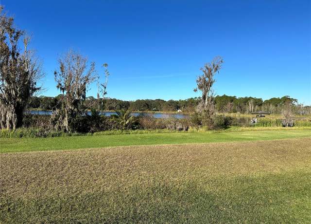 Property at 1113 Rally Dr, Polk City, FL 33868