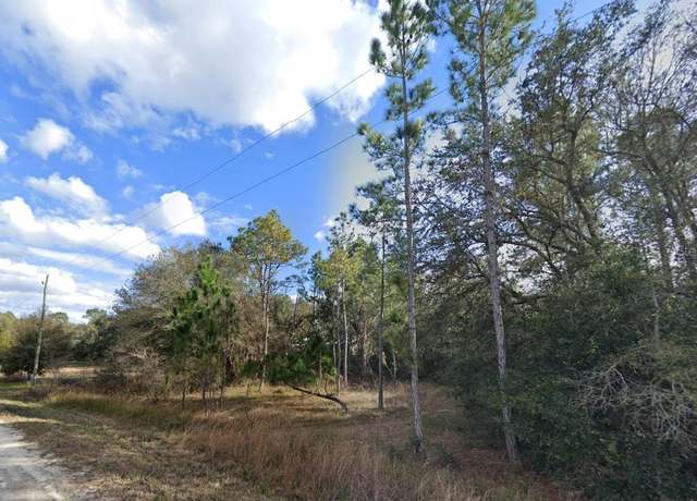 Property at 33472 West Blvd, Webster, FL 33597