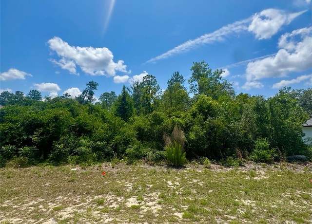 Property at 0 SW 131st Place Rd, Ocala, FL 34473
